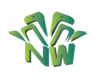 nextwavemobiles.com